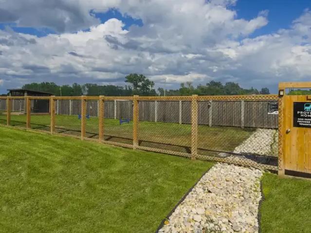 Townhouse for rent in Town of Ste. Anne, Rural Municipality of Ste. Anne