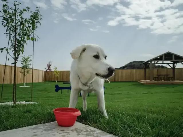 Townhouse for rent in Taché, Manitoba