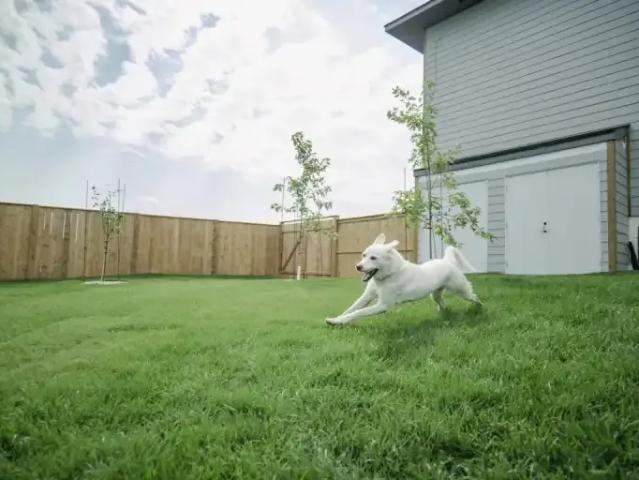 Townhouse for rent in Taché, Manitoba