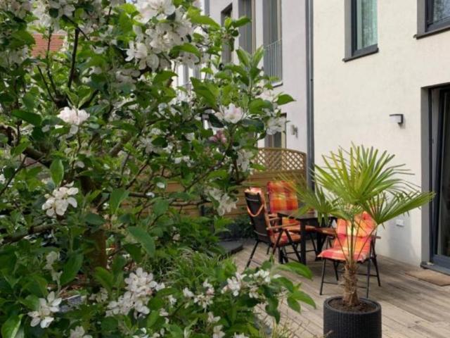 Apartment mieten in Potsdam, Brandenburg