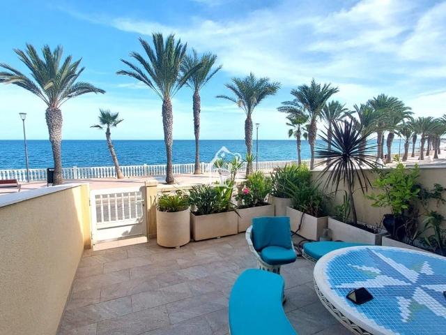 Casa en alquiler en Torre de la Horadada, el Baix Segura / La Vega Baja