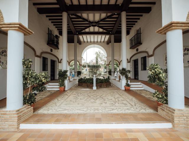 Casa en alquiler en Costa del Sol Occidental, Andalucía