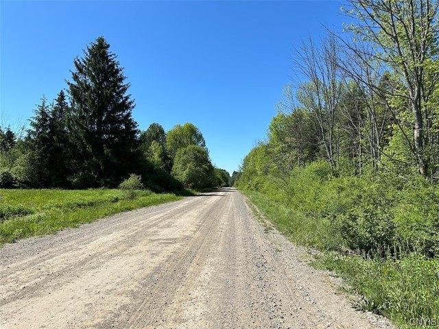 Land for sale in Angelica, New York