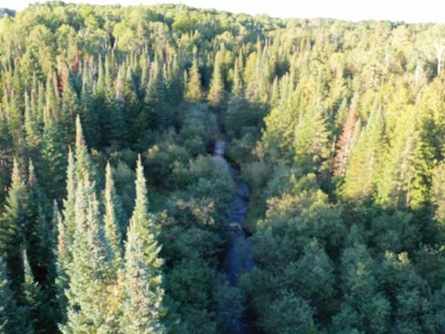 Land for sale in Rose City, Michigan