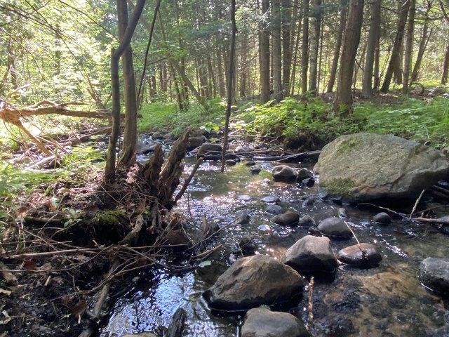 Land for sale in Rose City, Michigan