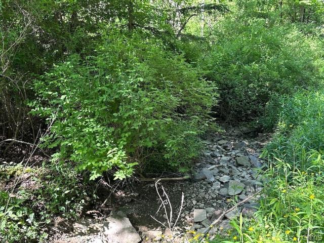 Land for sale in Angelica, New York