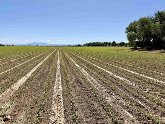 Land for sale in Delta, Colorado