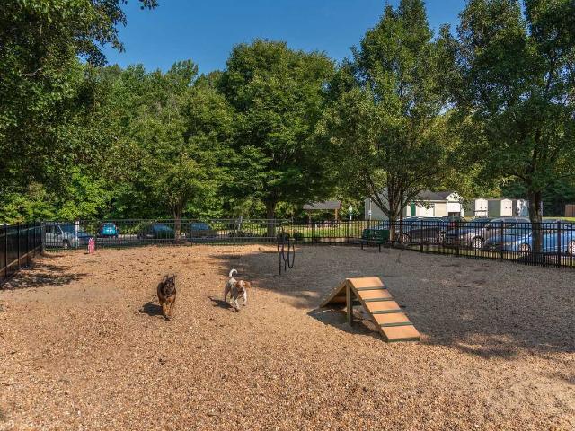 Apartment for rent in Townsend, Fredericksburg