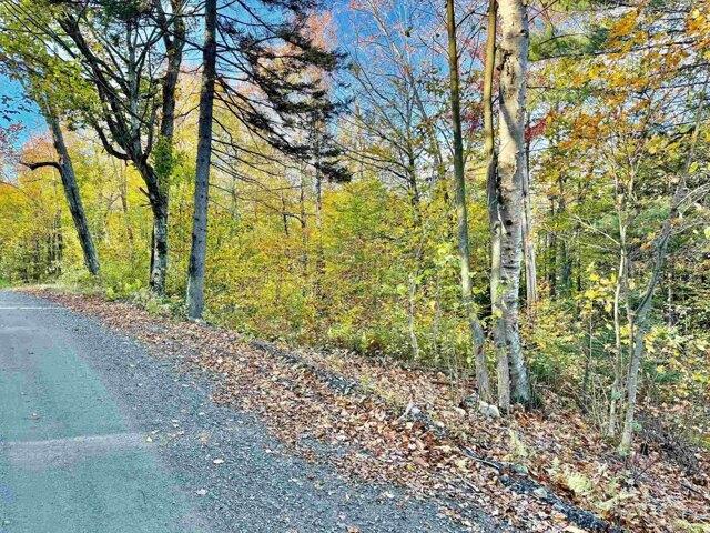 Land for sale in Wardsboro, Windham County
