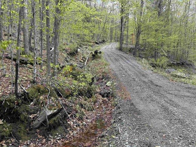 Land for sale in Townshend, Vermont
