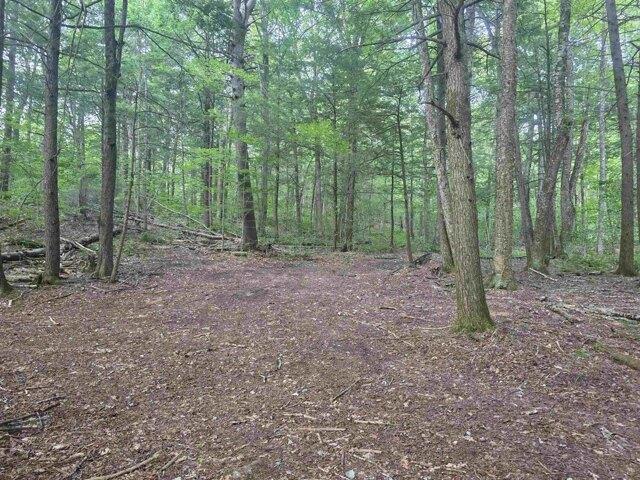Land for sale in Vermont