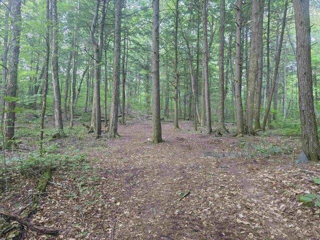 Land for sale in Vermont