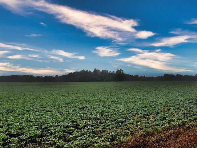 Farm for sale in Morrow, Ohio
