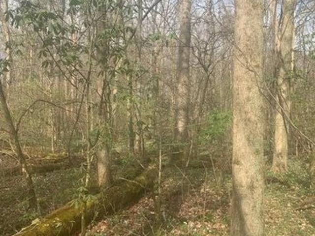 Land for sale in Morrow, Ohio