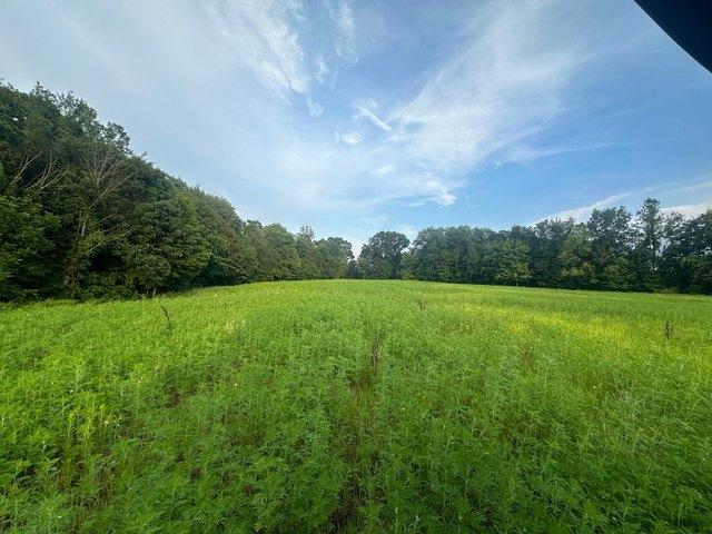 Land for sale in Thornville, Ohio