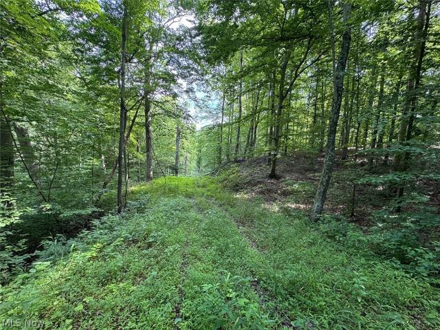 Land for sale in Corning, Ohio