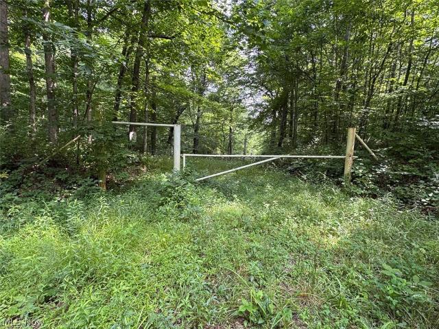 Land for sale in Corning, Ohio