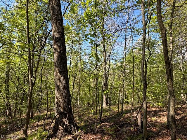 Land for sale in Coshocton, Ohio