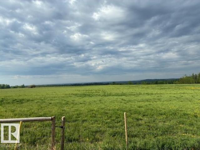 Land for sale in Brazeau, Alberta