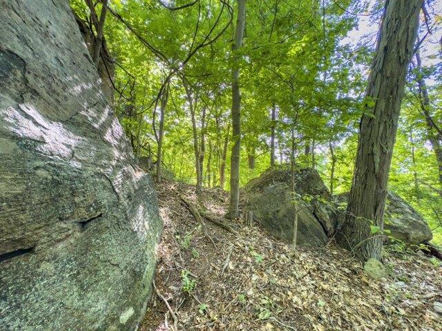 Land for sale in Chesapeake