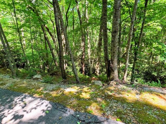 Land for sale in Sapphire, Transylvania County