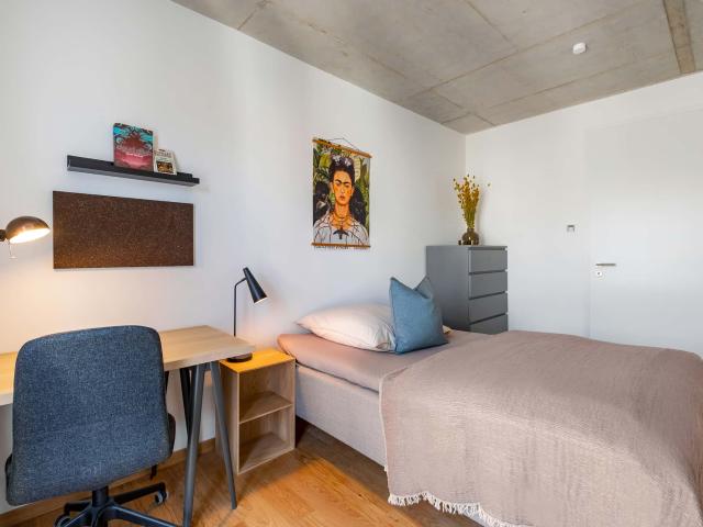 Zimmer mieten in Maxvorstadt, München