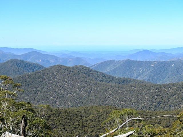 Cottage for sale in Kybeyan, New South Wales