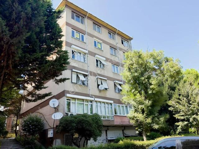 Güngören, İstanbul içerisinde satılık mülk
