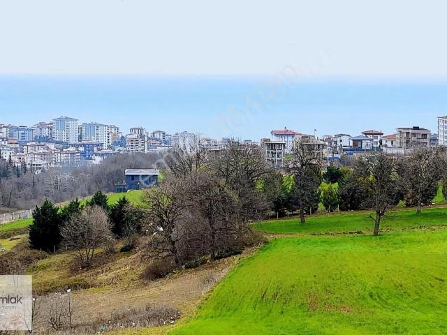 Atakum, Samsun içerisinde satılık mülk