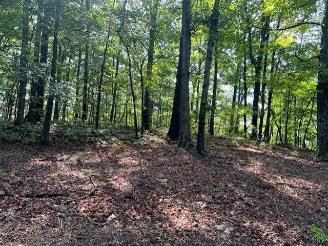 Land for sale in Pickens, Georgia