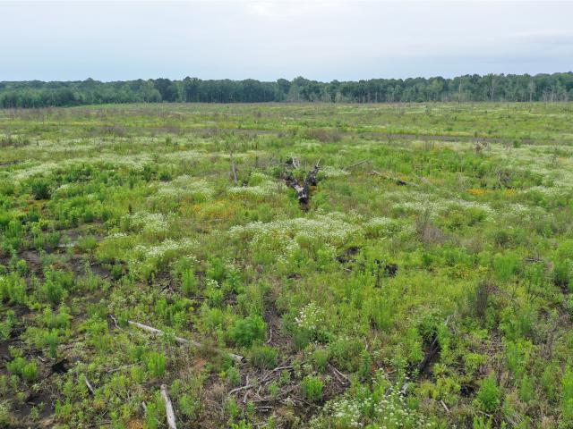 Land for sale in Harrison, Texas