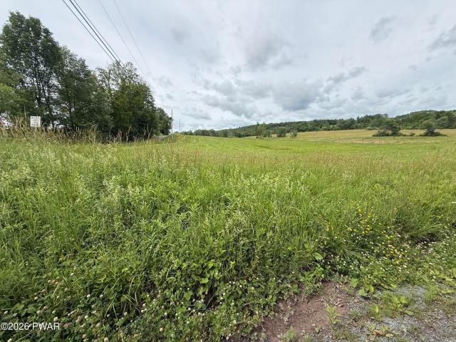 Land for sale in Equinunk, Pennsylvania