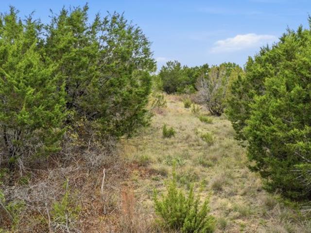 Land for sale in Bluff Dale, Texas