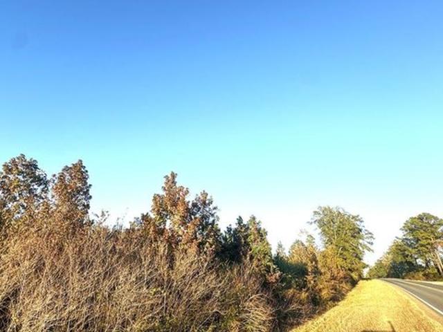 Land for sale in Sabine, Texas