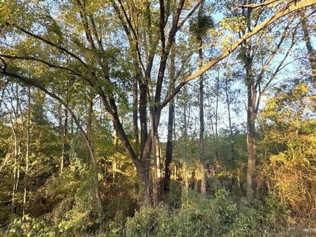 Land for sale in Sabine, Texas