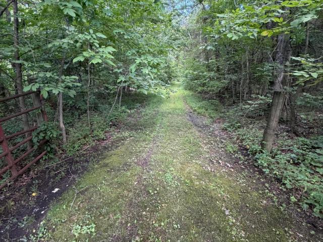 Land for sale in Cecilia, Kentucky