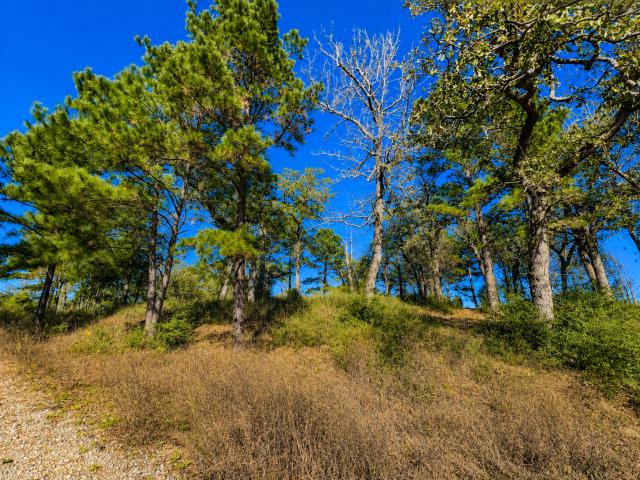 Land for sale in Centerville, Leon County