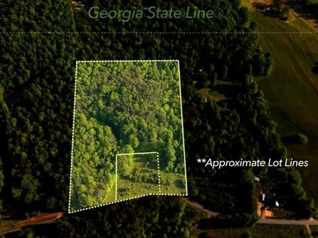 Land for sale in Warne, North Carolina