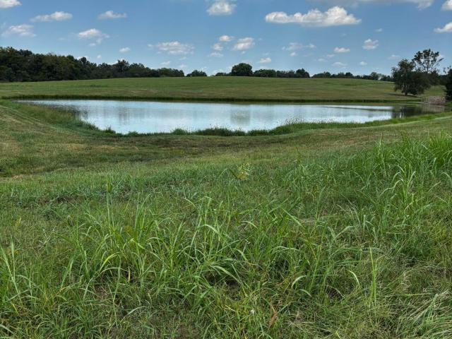 Land for sale in Simpsonville, Kentucky