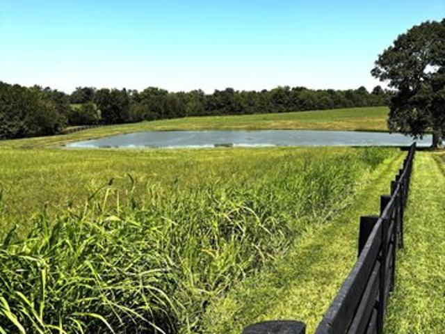 Land for sale in Simpsonville, Kentucky