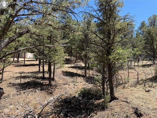 Land for sale in Cotopaxi, Colorado