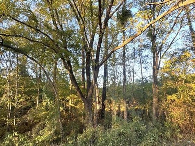 Land for sale in Sabine, Texas
