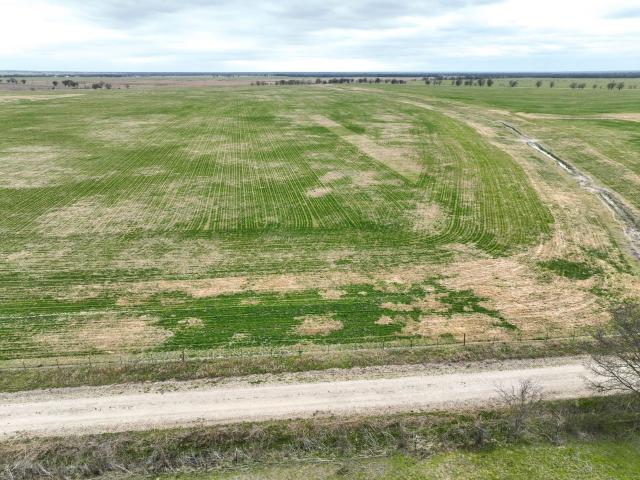 Land for sale in Marlin, Texas