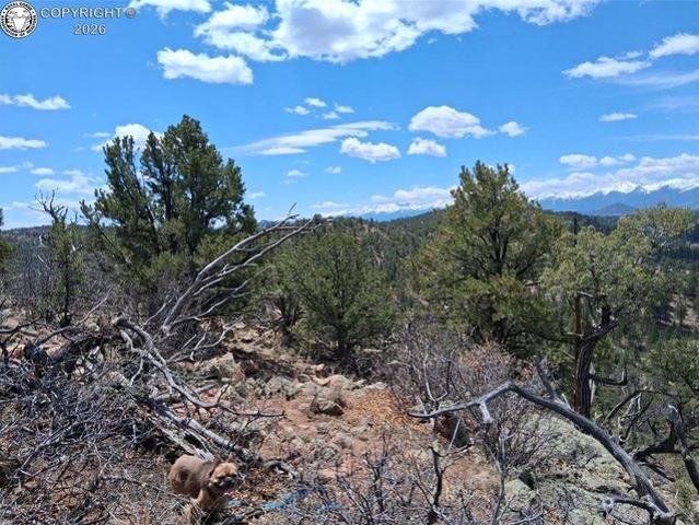 Land for sale in Cotopaxi, Colorado
