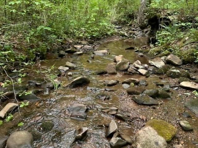 Land for sale in Gilmer, Georgia