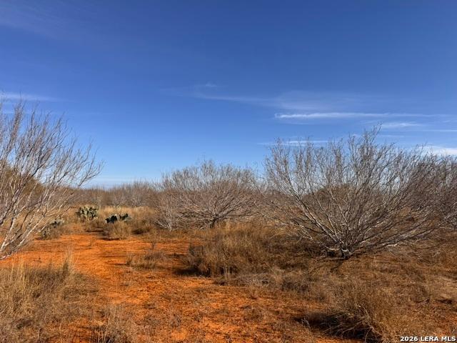 Land for sale in Dilley, Frio County