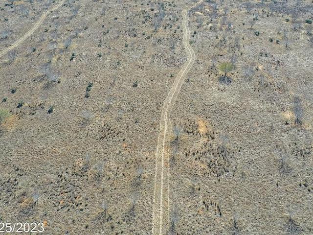 Land for sale in Dilley