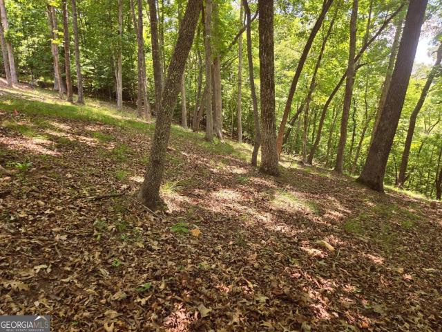 Land for sale in Young Harris, Georgia