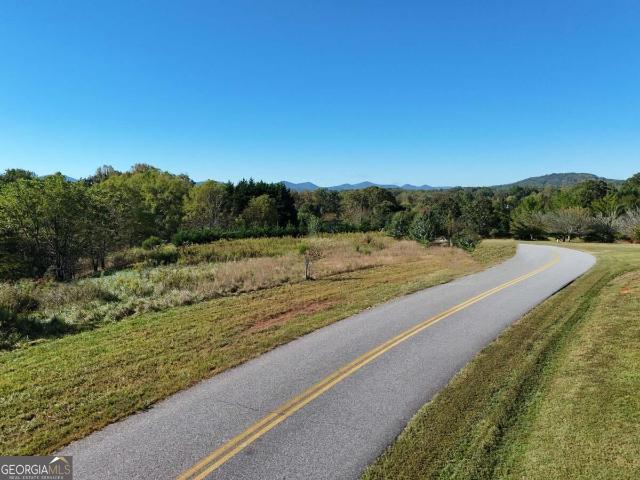 Land for sale in Pleasant Hill, Blairsville