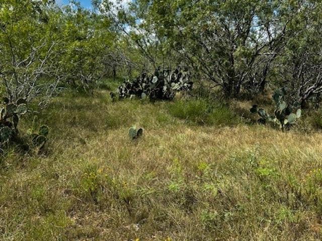 Land for sale in Hickston, Waelder